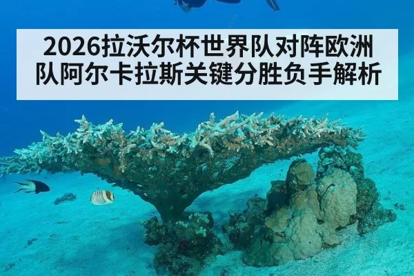 2026拉沃尔杯世界队对阵欧洲队阿尔卡拉斯关键分胜负手解析